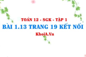 Bài 1.13 trang 19 Toán 12 tập 1 Kết nối tri thức